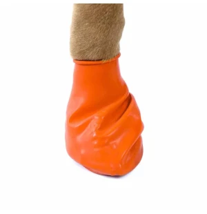 Koirankenkä PawZ x small 5 cm kuva