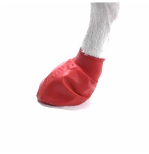 Koirankenkä PawZ small 6,5 cm kuva