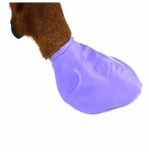 Koirankenkä PawZ large 10 cm kuva