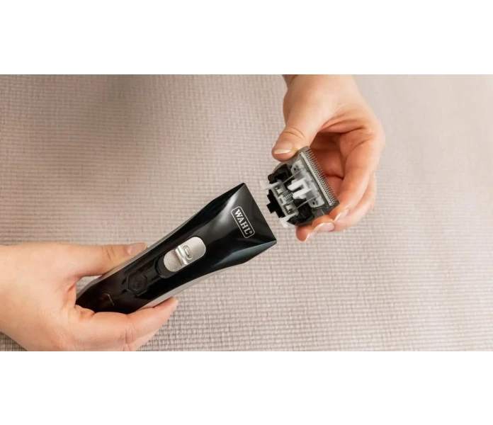 WAHL Hundesalon 2025 05 26 IMG 8330 Bearbeitet min 1  image