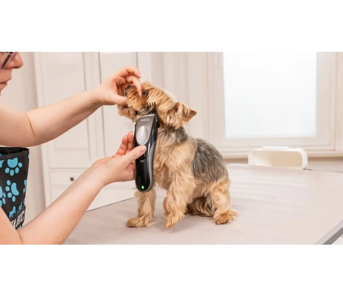 WAHL Hundesalon 2025 05 26 IMG 7646 Bearbeitet min 1  kuva