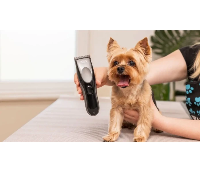 WAHL Hundesalon 2025 05 26 IMG 7721 Bearbeitet min 1  kuva