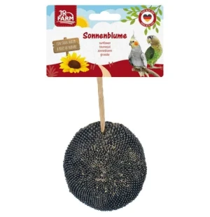 JR Birds Sunflower 30 g kuva