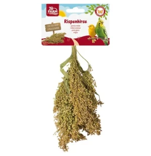 JR Farm tähkähirssi 100g kuva