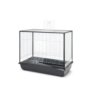 Argus 120 Plexi Knock Down - silver-black image