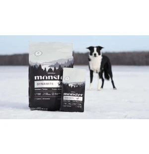 Monster hundmat image