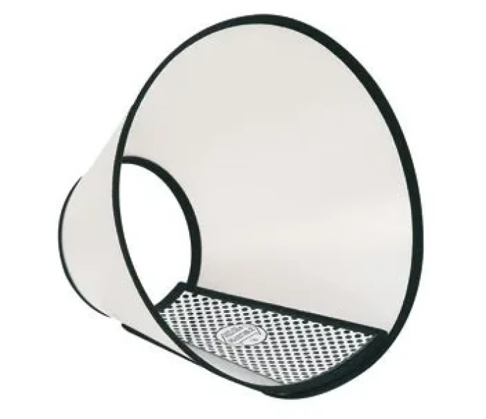 KF503002 image