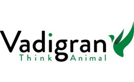 VadiGran VadiGran