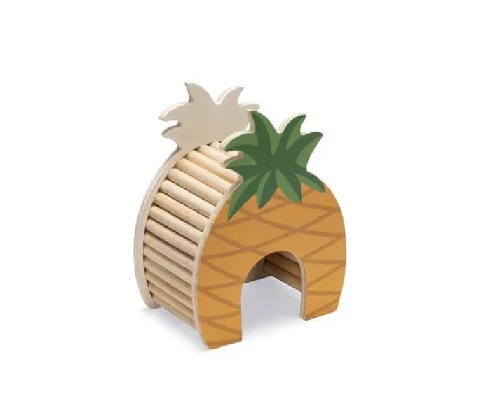 ananas kuva