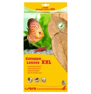 Sera Catappa leaves (mantelipuun lehdet) XXL 10kpl image