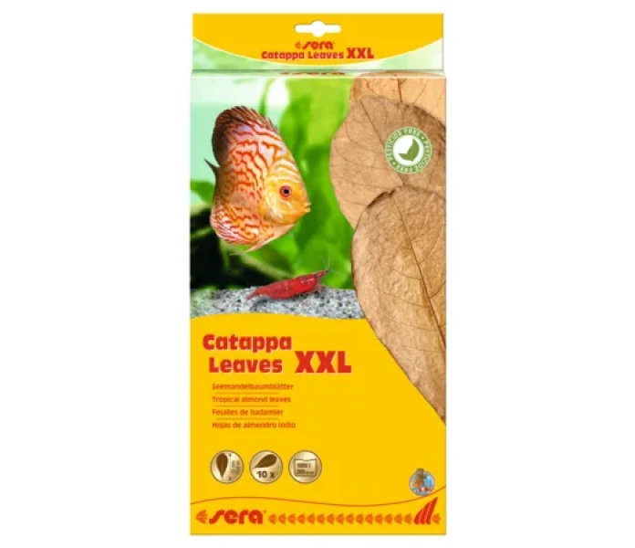 csm 13722 4001942452458 45245  int  sera catappa leaves xxl 10 st 7b0435efce image