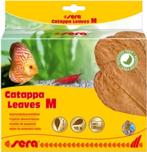 Sera Catappa leaves (mantelipuun lehdet) M 10 kpl image