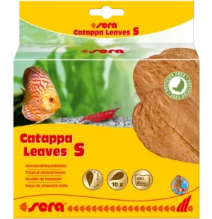 Sera Catappa leaves (mantelipuun lehdet) S 10 kpl image