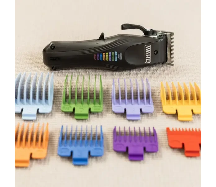 wahl hundesalon 2025 05 26 img 8278 bearbeitet 2 1  min 1  image