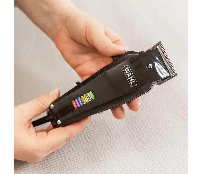 wahl hundesalon 2025 05 26 img 8290 bearbeitet 3 1 1  min 1  kuva