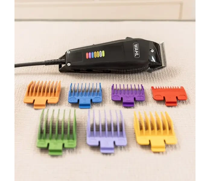 wahl hundesalon 2025 05 26 img 8299 bearbeitet 7combs 2 1 1  min 1  kuva